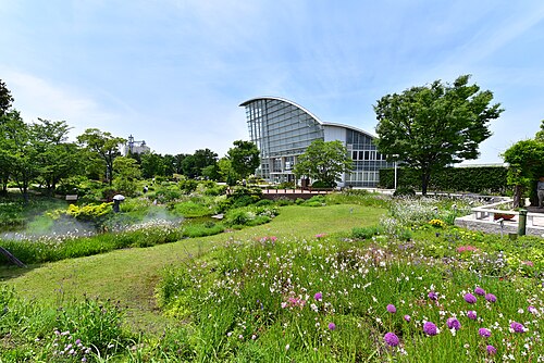 名古屋港野草園ブルーボネット