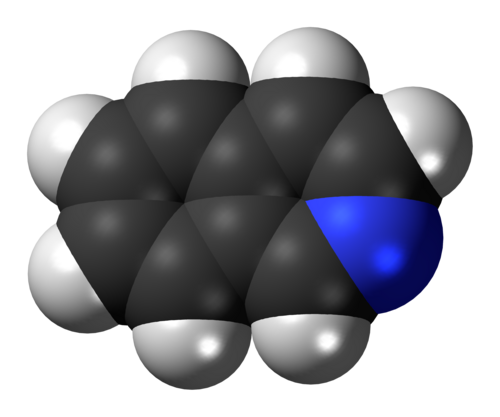 イソキノリン分子