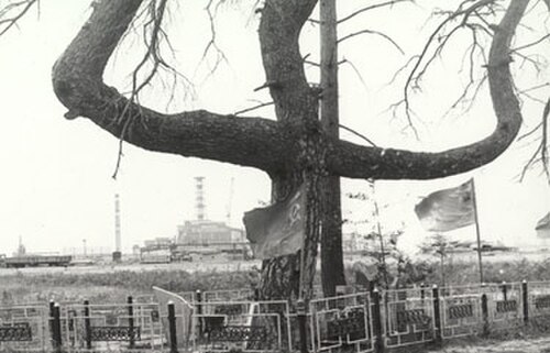 奇妙な形の木。まるで三叉槍のようだ。背景には発電所がある。
