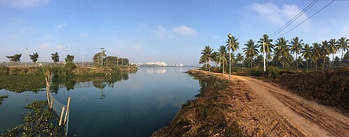 泥道と木々に囲まれた水域。遠くにアパートが見える。