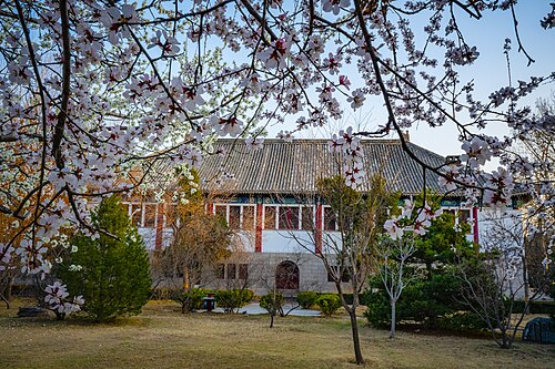 春の北京大学。あちこちで花が咲いています。