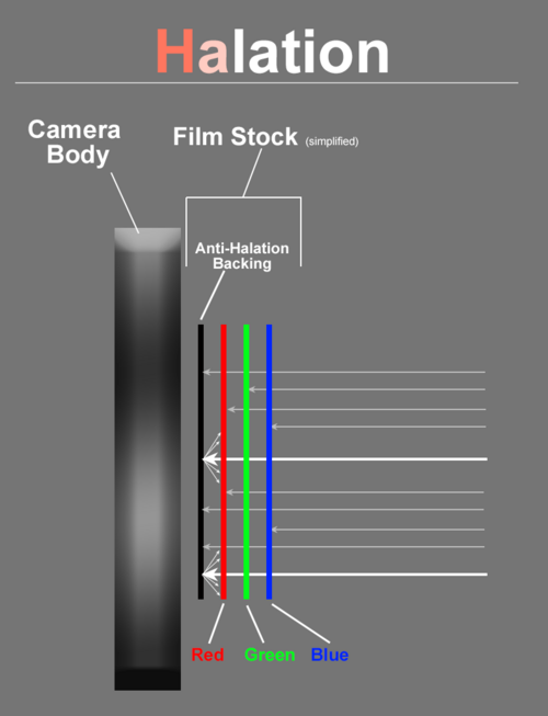 フィルム層と光が相互作用する