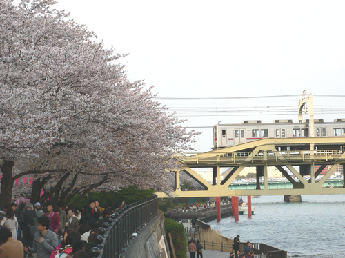 4月の桜