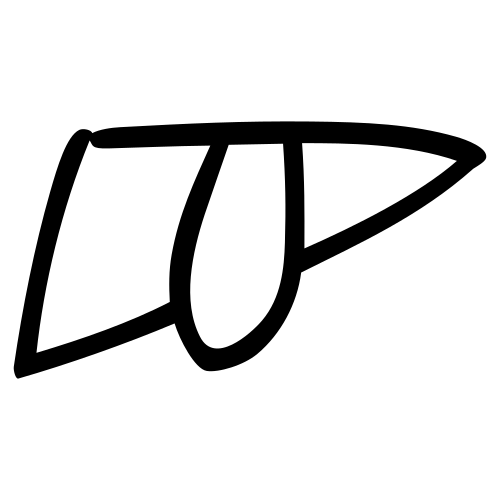 甲骨文字