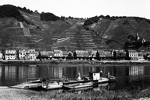 30. 1950 年代: 丘陵全体に段々畑を植えました。ハッツェンポーター キルヒベルク