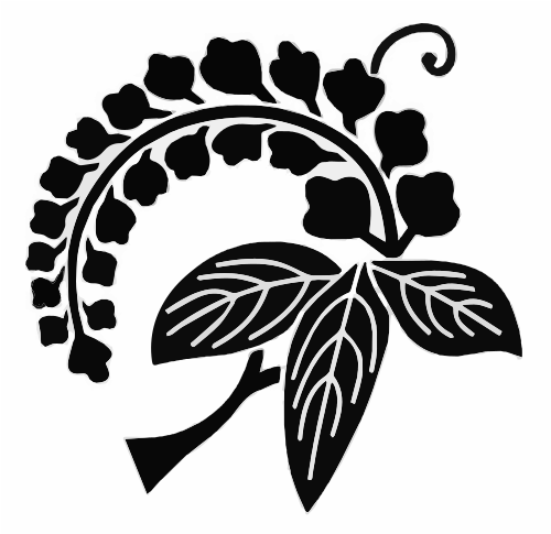 エダフジ、茎付き単房フジ