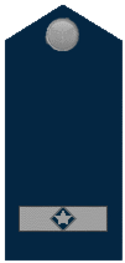 ブラジル空軍副官