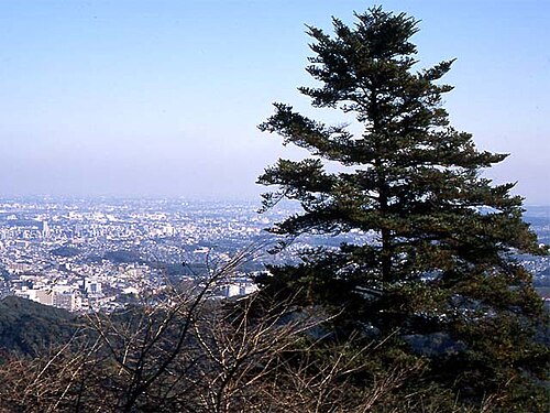 高尾山から見る東京の景色