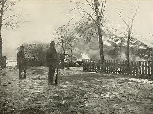 「鎮圧」：1908年、ジョージアで反乱を起こした農民の農場を焼き払う軍隊。