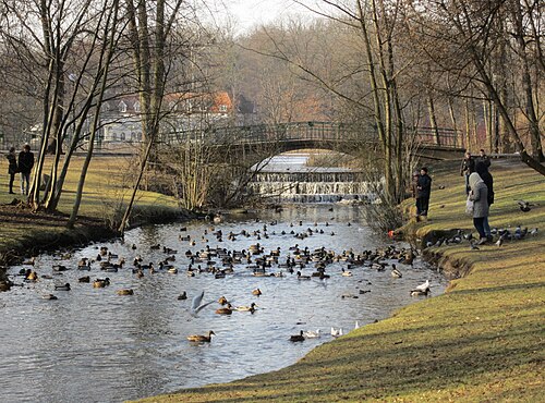 ポズナンには多くの公園、大きな植物園、ヤシの木の家があります。ソワツキ公園の風景。