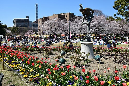 鶴間公園