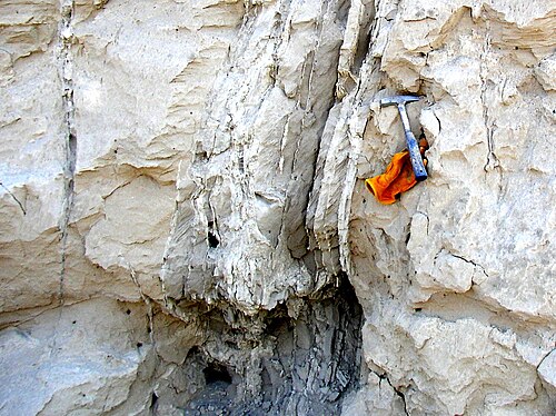この写真は、Touchet 層のいくつかの層をクローズアップで示しています。写真には遠近感を与えるために地質学者のハンマーと革手袋が写っています。これらから、層の厚さは約 1 メートルであることがわかります。水平層には異なる物質の垂直の層が走っています。これは、後の地質学的プロセスによって生じた砕屑岩の岩脈です。