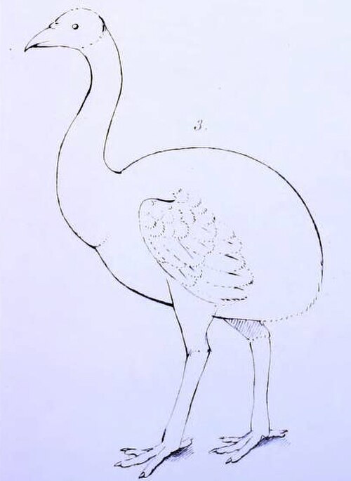 簡単な絵