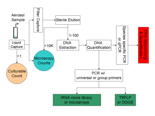 PCR ベースのバイオエアロゾル分析への道。