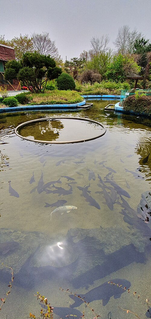 イルウォル貯水池への流出路にある池