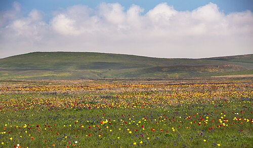 クリミア半島のケルチ半島の草原。