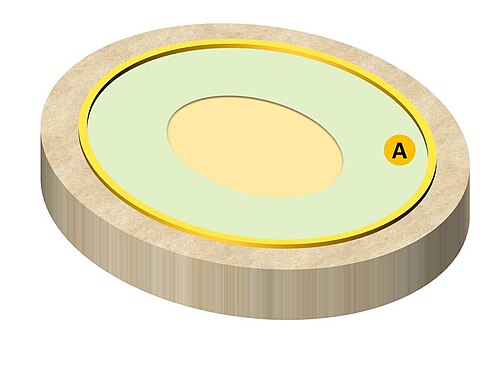 要塞の円形競技場と要塞の計画図。