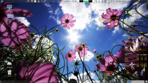 Fedora 14 上の Conky (ラフリン)