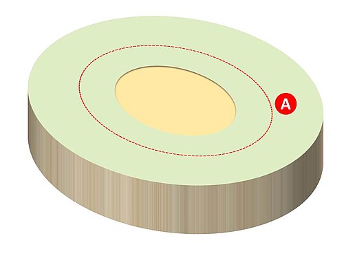 広大な円形競技場での懸垂下降の設計図は、原点に沿った寸法を実現します。