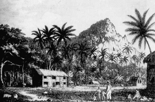 1831年にピトケアン島のジョン・アダムスの木造住宅を描いた版画