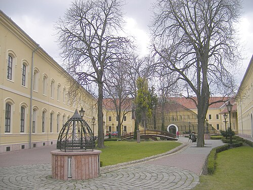 J.セリエ大学