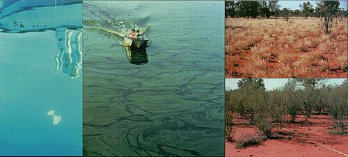 温帯湖とマルガ森林地帯