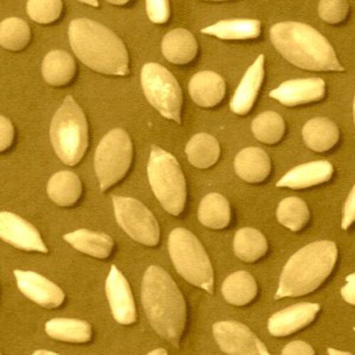 まばらな粒子の黄色い画像