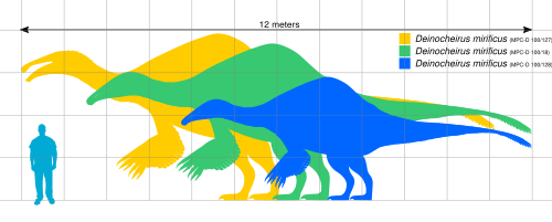 サイズ比較