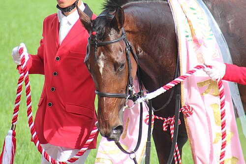 2023 優駿牝馬（オークス）セレモニー