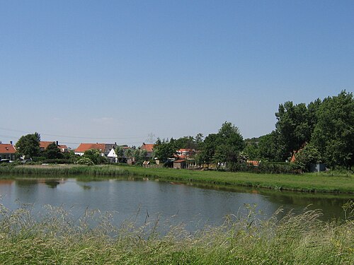 Ellewoutsdijk で見る