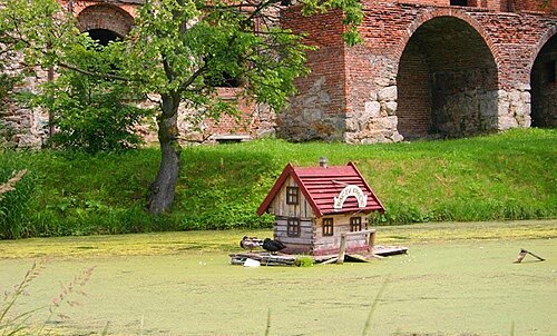 ポーランド、モドリシェヴィツェにあるアヒル小屋