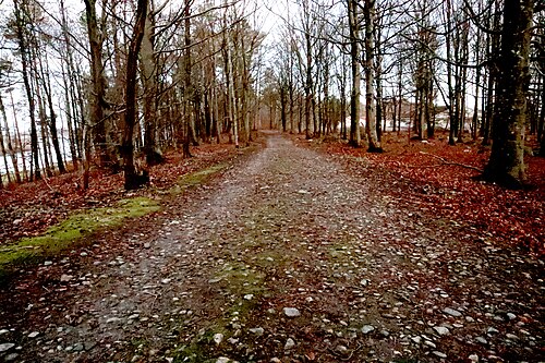 ラエト国立公園のハスラタンゲンのモレーンに沿った道路
