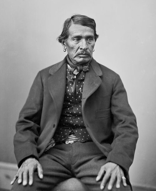ショー・イー・タット（リトル・ボーイ）またはジョージ・ワシントン（1816-1883）、ルイジアナ州のカドー族の指導者