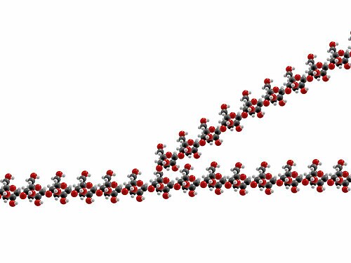 グリコーゲン分子中の、グルコース単位が分岐した一本鎖の原子構造を示した図。