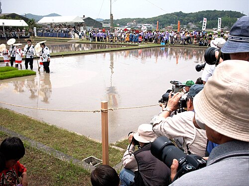 田植え祭り