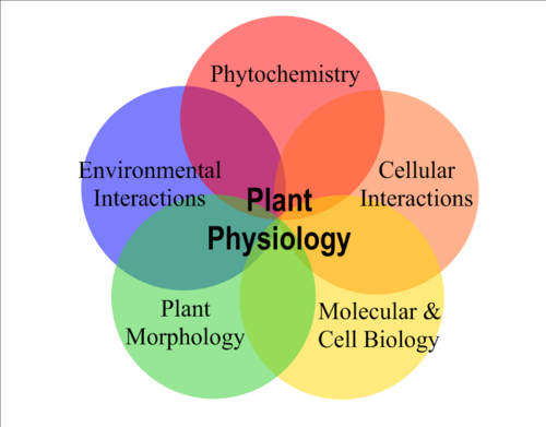 植物生理学の5つの主要領域の関係を示すベン図