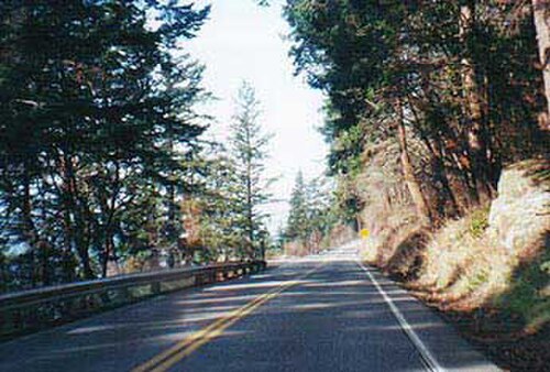 高速道路の上に樹冠を形成する木々。