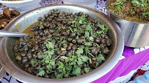 タルー族の間で人気の淡水カタツムリ料理、ゴンギ