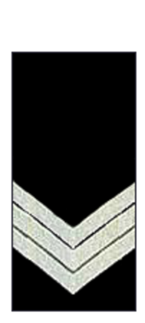 ビクトリア州警察