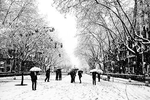 雪の降るバルセロナの路上で傘を差す歩行者