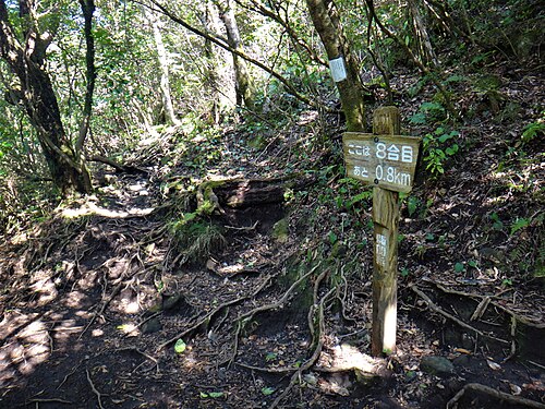 開聞岳の8合目（「合目」とは麓から山頂までの登山行程の単位。山の高さにかかわらず、すべての行程を10に分けます。）