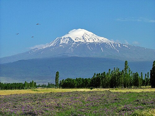 トルコ、イドゥルからのアララトの眺め