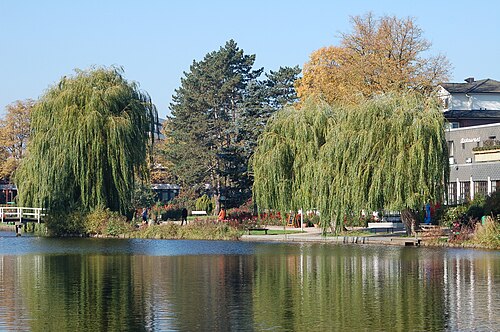 池