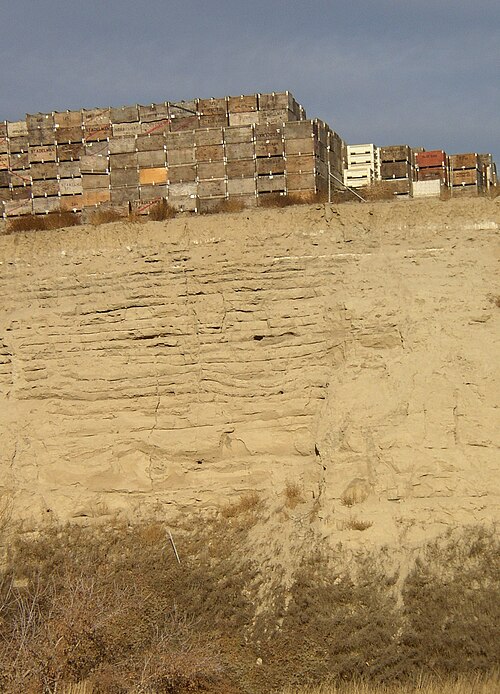 この写真は、周囲の平らな土壌に切り込まれた峡谷と、その下の層と明確に区​​別される 20 以上の水平堆積層を示しています。峡谷の縁の上には、収穫したリンゴを運ぶために使用された箱がいくつか積み重ねられています。これらの箱の大きさから、各層の深さは 0.5～1 メートルであることがわかります。