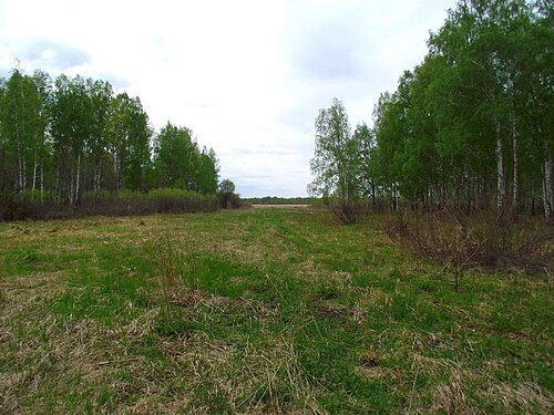 ボルシェウコフスキー地区の自然保護区