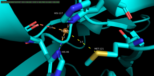 3fqy の銅結合ドメインの Pymol レンダリング。4 つの結合リガンドに囲まれた銅原子を示しています。