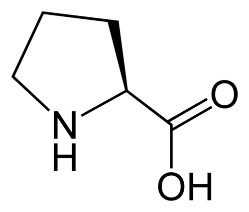 L-プロリン（プロ／P）