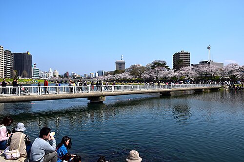 岡崎花まつり