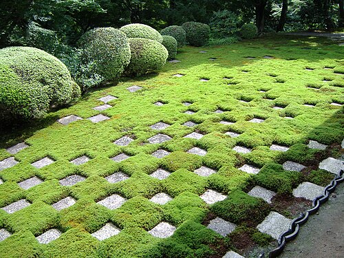京都東福寺の苔庭