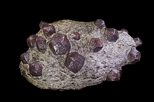 灰緑色の片岩中に生える大きなアルマンディン斑状結晶